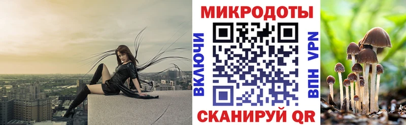 Псилоцибиновые грибы Magic Shrooms  что такое наркотик  Курчатов 